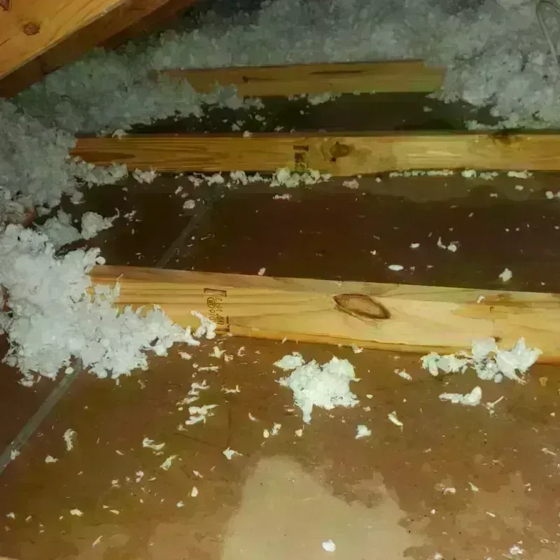 Attic Water Damage in Princeton, IN