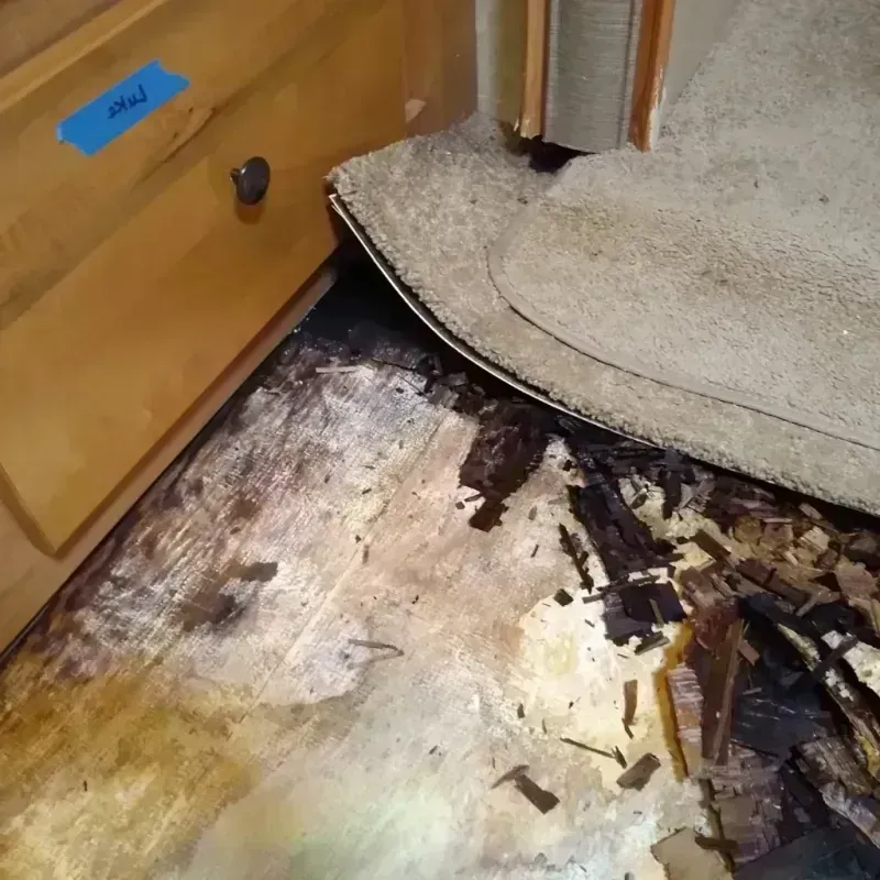 Best Wood Floor Water Damage Service in Princeton, IN